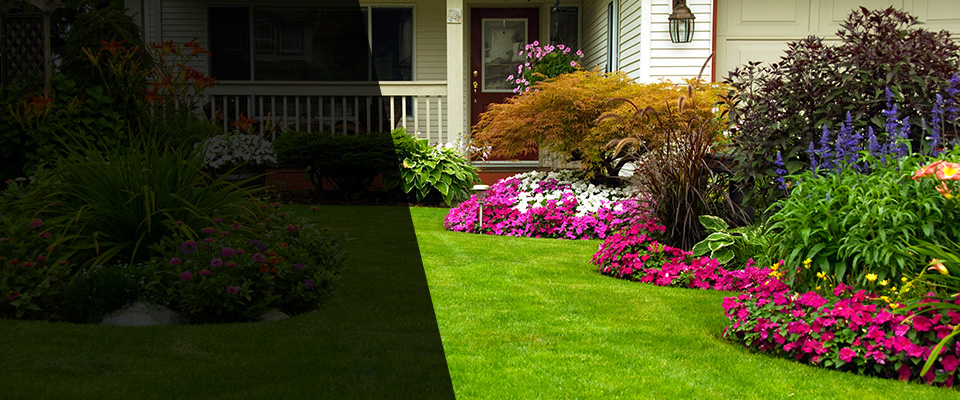 Deerfield Beach Landscapers