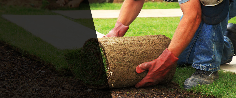 Deerfield Beach Landscapers